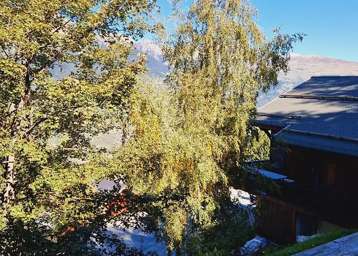 Familial Avec Cheminee A La Plagne, Proche Station - Fr-1-755-7 木屋 *